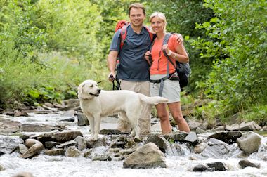 Ferienhaus Schwarzwald Hund